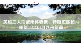 美股三大指数集体收低，特斯拉涨超3%刷新2022年4月以来新高