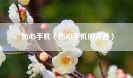 伤心手机（伤心手机的声音）