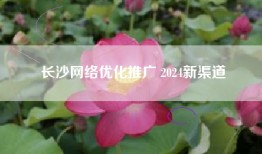 长沙网络优化推广 2024新渠道