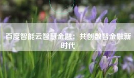 百度智能云智慧金融：共创数智金融新时代