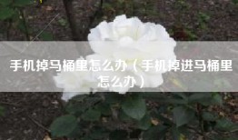 手机掉马桶里怎么办（手机掉进马桶里怎么办）
