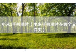 小米5手机图片（小米手机图片在哪个文件夹）