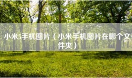 小米5手机图片（小米手机图片在哪个文件夹）