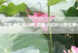 百度小说风云榜_百度小说风云榜名单