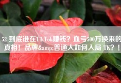 52 到底谁在TikTok赚钱？血亏500万换来的真相！品牌&普通人如何入局 TK？！