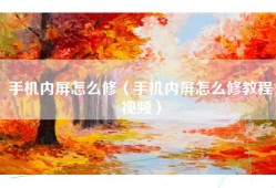 手机内屏怎么修（手机内屏怎么修教程视频）