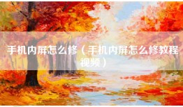 手机内屏怎么修（手机内屏怎么修教程视频）