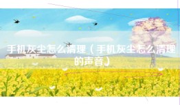 手机灰尘怎么清理（手机灰尘怎么清理的声音）