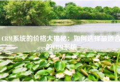 CRM系统的价格大揭秘：如何选择最适合的CRM系统