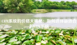 CRM系统的价格大揭秘：如何选择最适合的CRM系统
