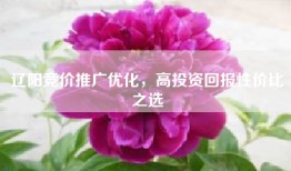 辽阳竞价推广优化，高投资回报性价比之选