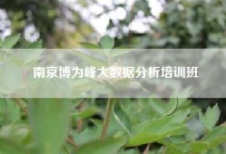 南京博为峰大数据分析培训班