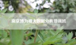 南京博为峰大数据分析培训班