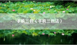 手机三包（手机三包法）