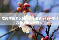 荣耀手机怎么退出安全模式（红米手机怎么退出安全模式）