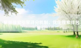 掌握搜索引擎评分机制，优化搜索排名策略