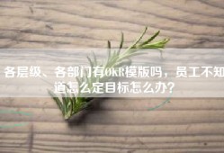 各层级、各部门有OKR模版吗，员工不知道怎么定目标怎么办？