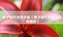 黄子韬代言的手机（黄子韬代言的手机有哪些）