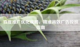 百度推广优化攻略，精准高效广告投放指南