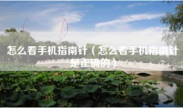 怎么看手机指南针（怎么看手机指南针是正确的）