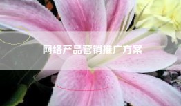 网络产品营销推广方案