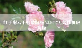 红手指云手机破解版 V3.0.017无限挂机破解版