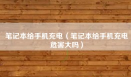 笔记本给手机充电（笔记本给手机充电危害大吗）