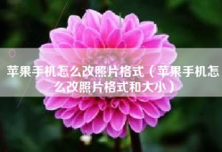 苹果手机怎么改照片格式（苹果手机怎么改照片格式和大小）