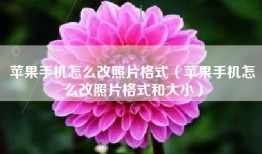 苹果手机怎么改照片格式（苹果手机怎么改照片格式和大小）