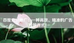 百度竞价推广：一种高效、精准的广告投放方式！
