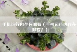 手机运行内存在哪看（手机运行内存在哪看？）