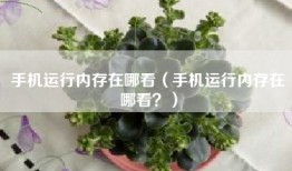 手机运行内存在哪看（手机运行内存在哪看？）