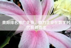 贵阳排名推广企业，助力企业在数字时代脱颖而出