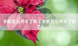 手机怎么开不了机（手机怎么开不了机了）