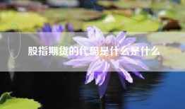 股指期货的代码是什么是什么