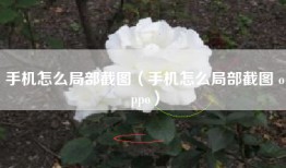 手机怎么局部截图（手机怎么局部截图 oppo）