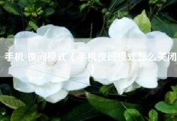 手机 夜间模式（手机夜间模式怎么关闭）