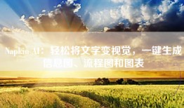 Napkin AI：轻松将文字变视觉，一键生成信息图、流程图和图表