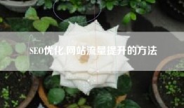 SEO优化,网站流量提升的方法