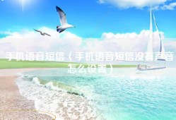 手机语音短信（手机语音短信没有声音怎么设置）