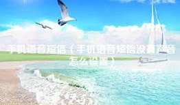 手机语音短信（手机语音短信没有声音怎么设置）