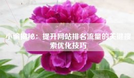 小编揭秘：提升网站排名流量的关键搜索优化技巧