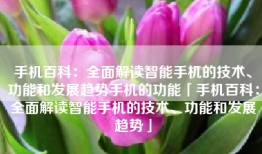 手机百科:全面解读智能手机的技术、功能和发展趋势手机的功能「手机百科:全面解读智能手机的技术、功能和发展趋势」