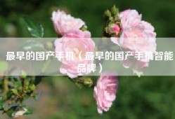 最早的国产手机（最早的国产手机智能品牌）