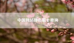 中国网站排名前十查询