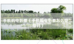 手机购电影票（手机购电影票怎么找二维码）