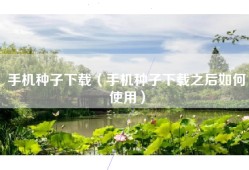 手机种子下载（手机种子下载之后如何使用）