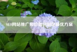 SEO网站推广报价如何制定最优方案