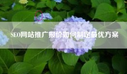 SEO网站推广报价如何制定最优方案