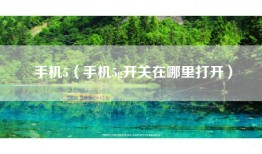 手机5（手机5g开关在哪里打开）